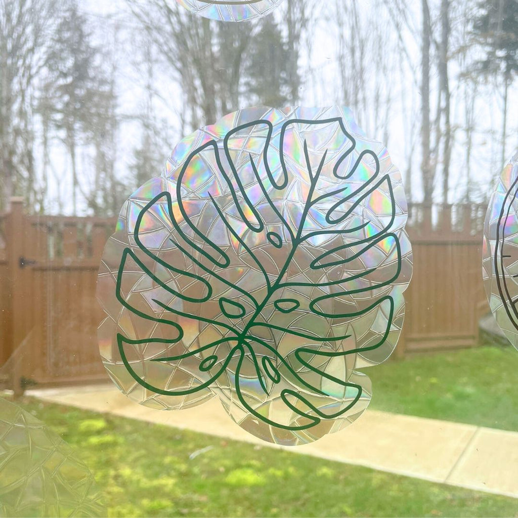 Monstera Leaf | Suncatcher Sticker