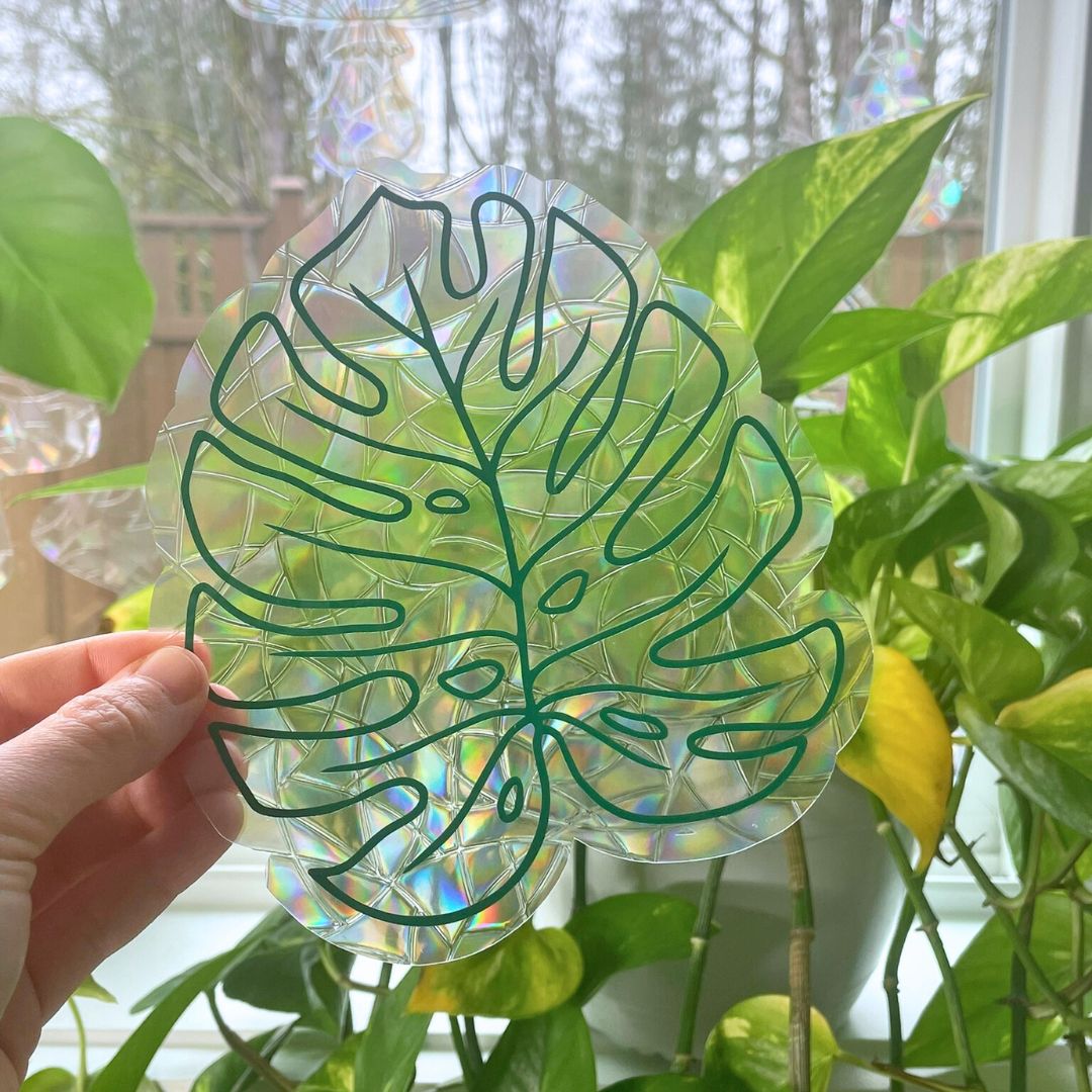 Monstera Leaf | Suncatcher Sticker