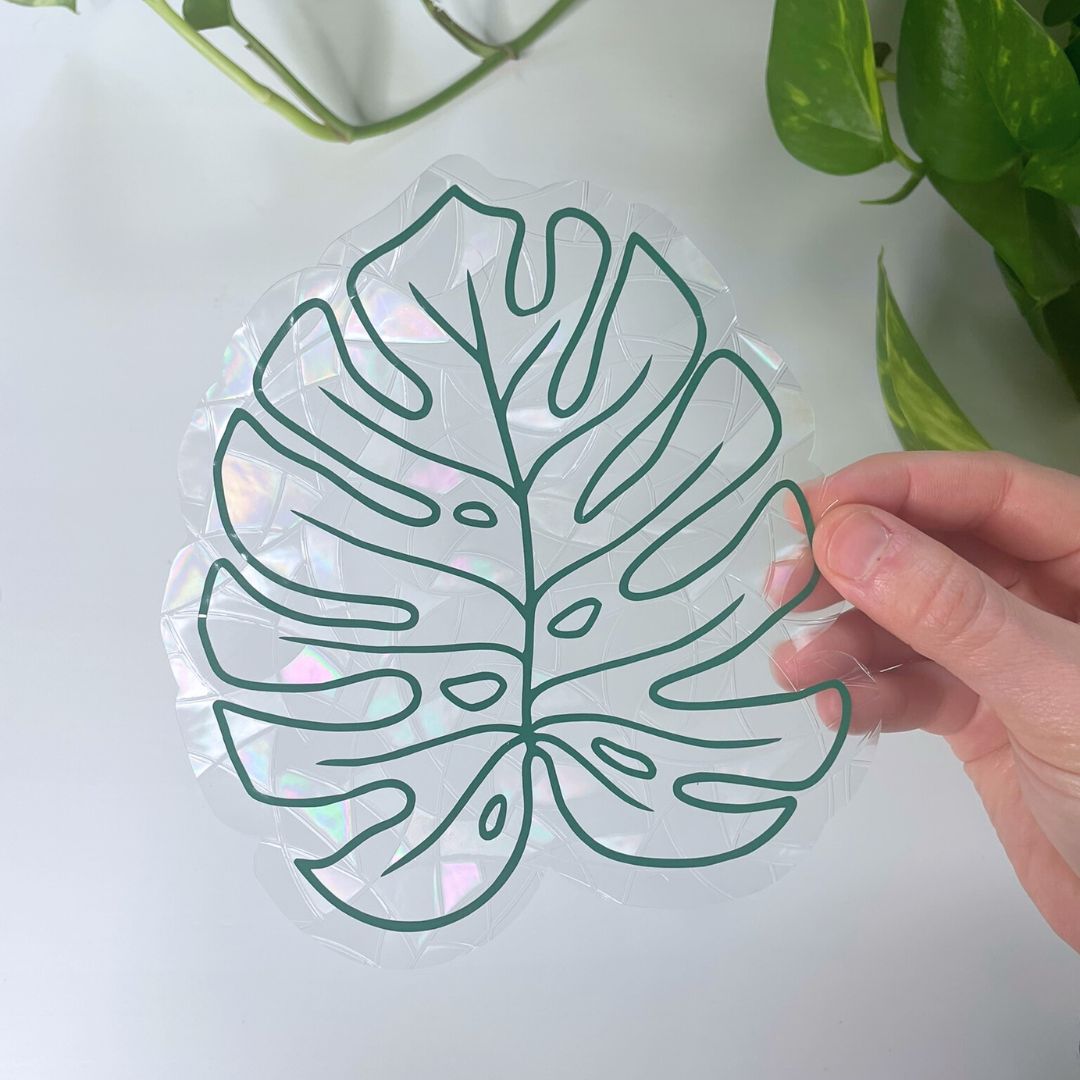 Monstera Leaf | Suncatcher Sticker