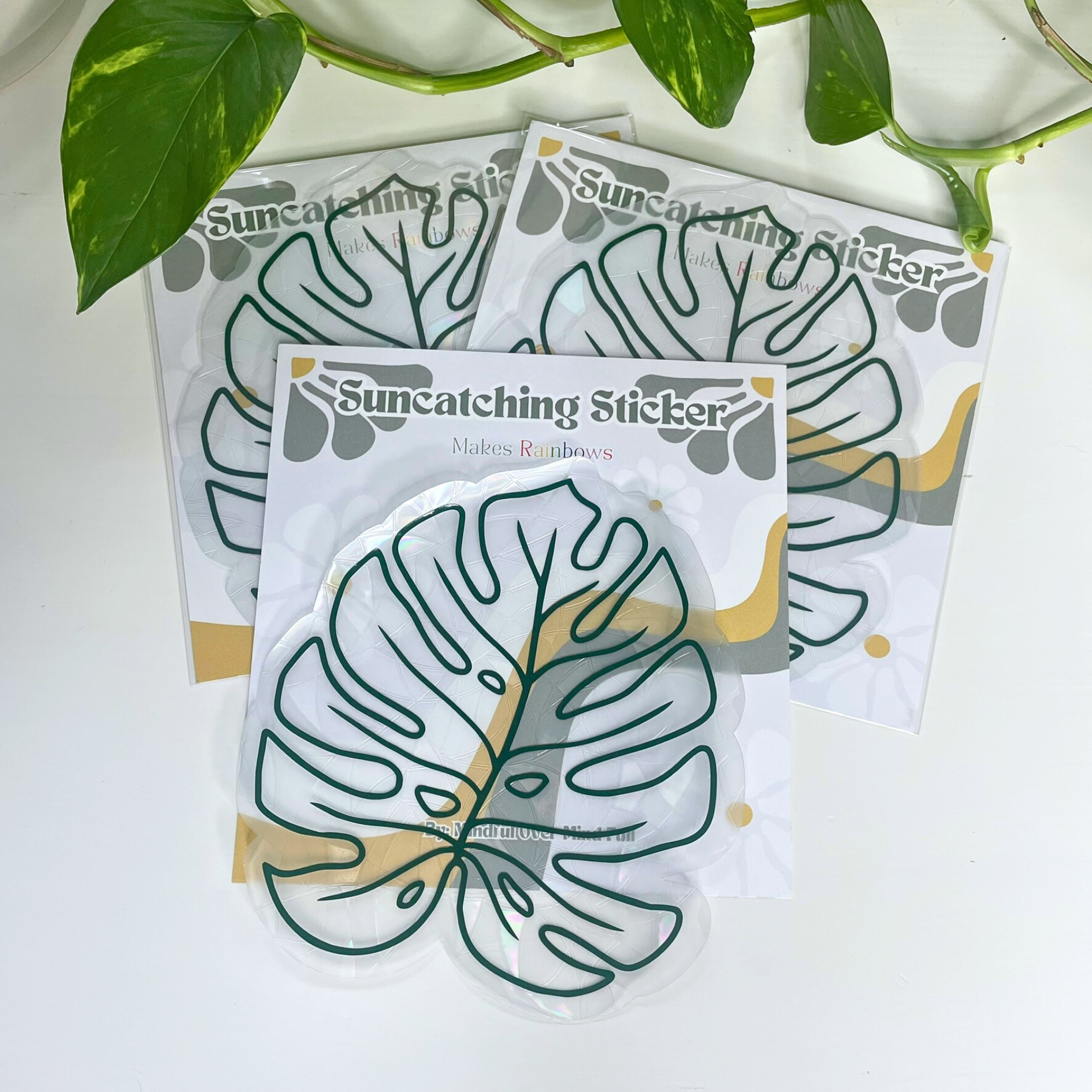 Monstera Leaf | Suncatcher Sticker