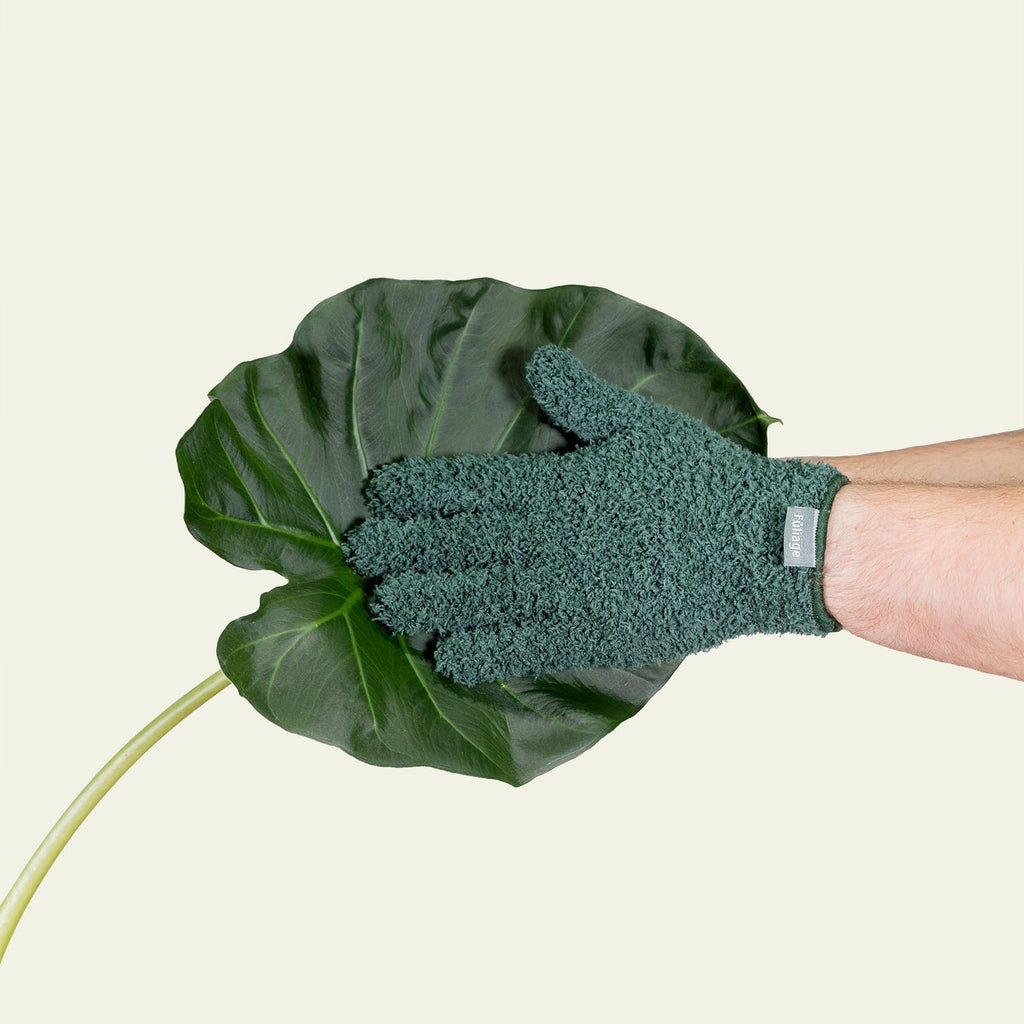 Microfiber Plant Dusting Gloves | 1 Pair