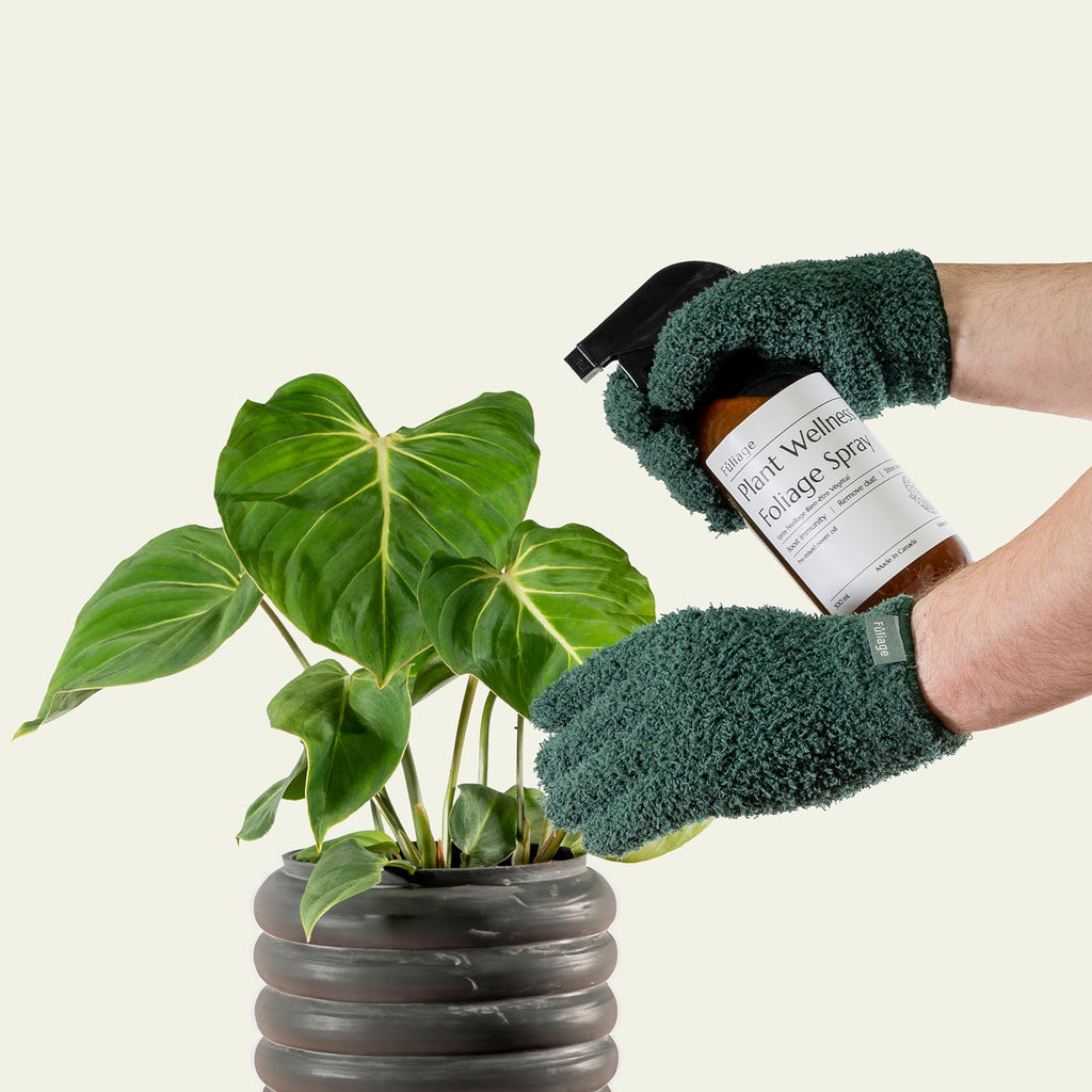 Microfiber Plant Dusting Gloves | 1 Pair
