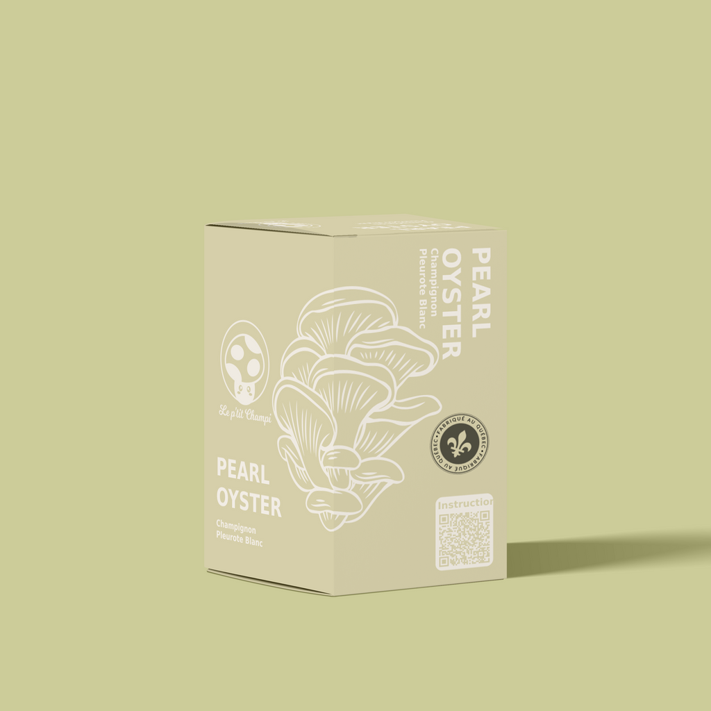 Pearl Oyster | Mushroom Kit