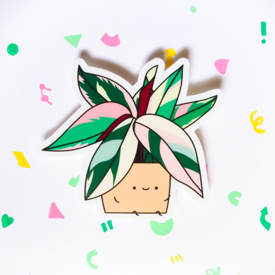 Stromanthe | Vinyl Die Cut Sticker