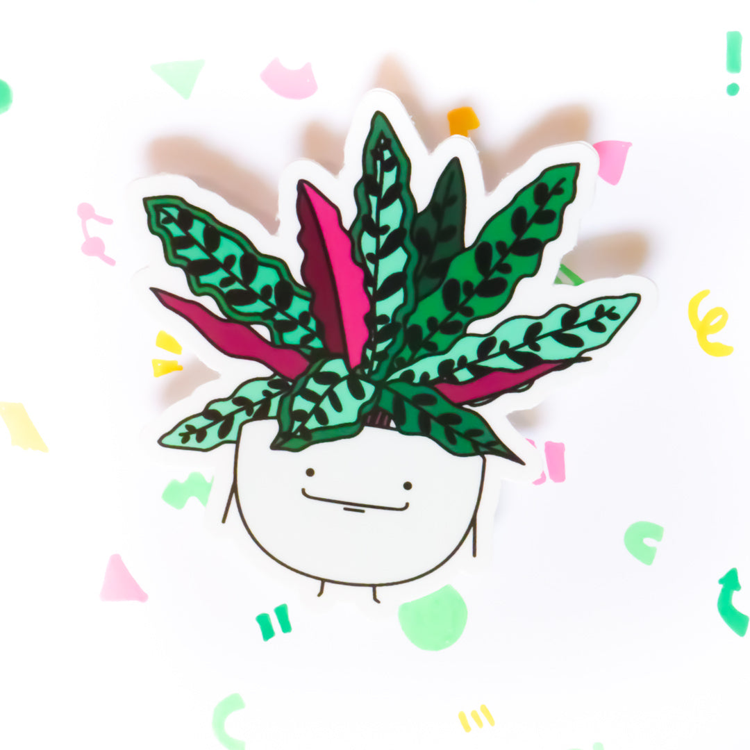 Calathea Rattlesnake | Vinyl Die Cut Sticker