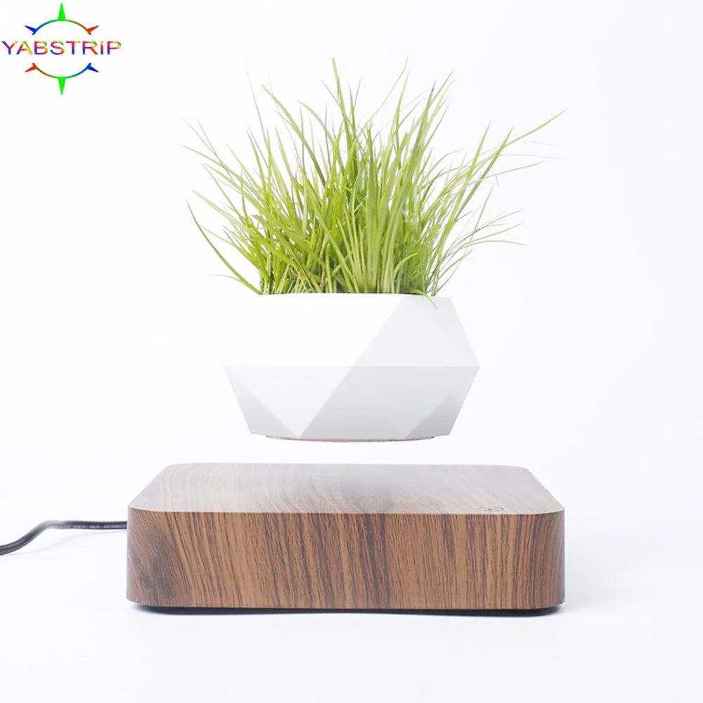 Magic Levitating Pot