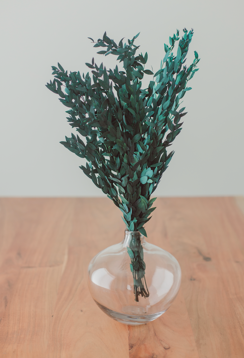 Short Willow Eucalyptus (Parvifolia) | Preserved