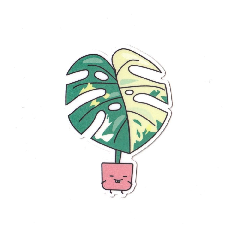 Variegated Monstera | Vinyl Die Cut Sticker