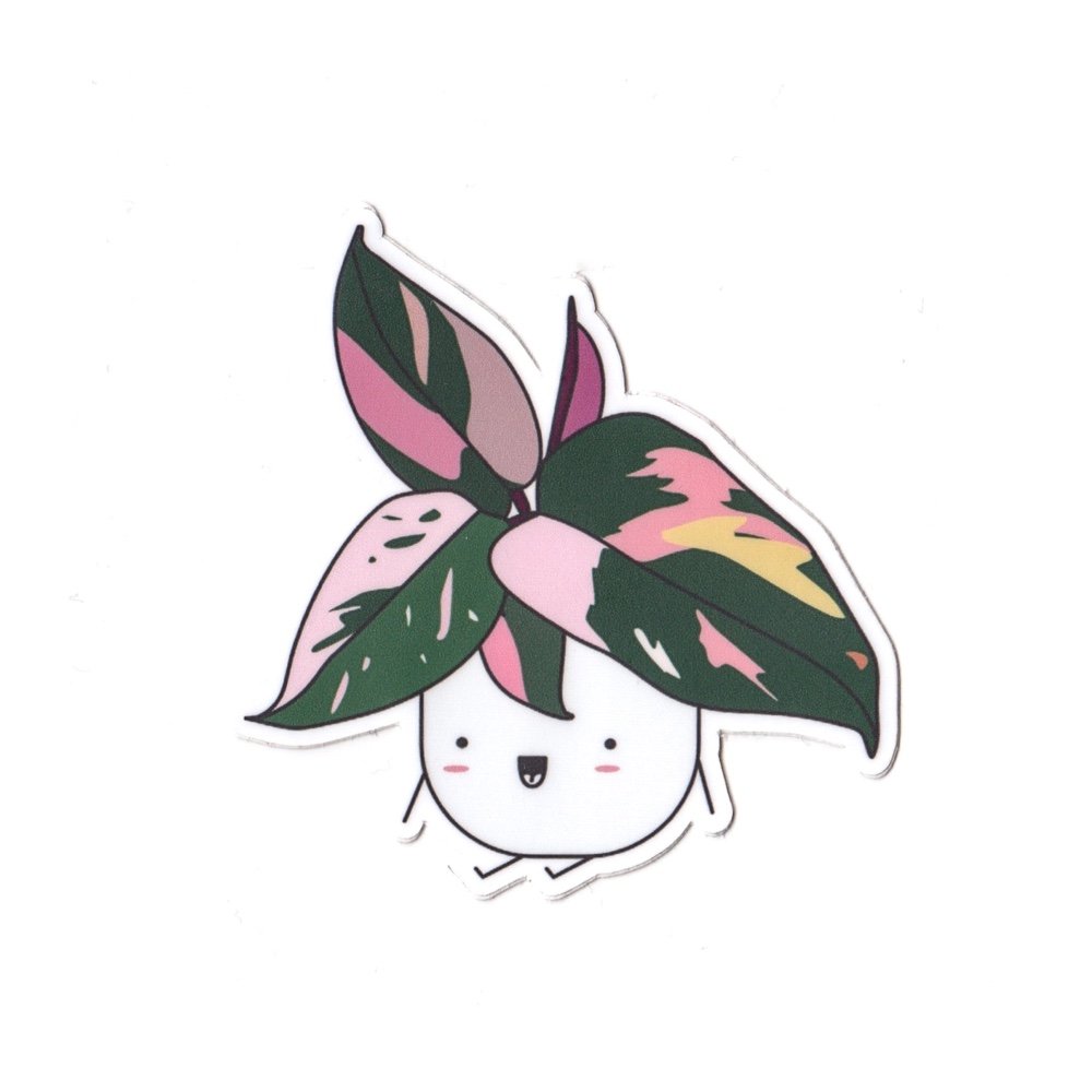 Pink Princess Philodendron | Vinyl Die Cut Sticker
