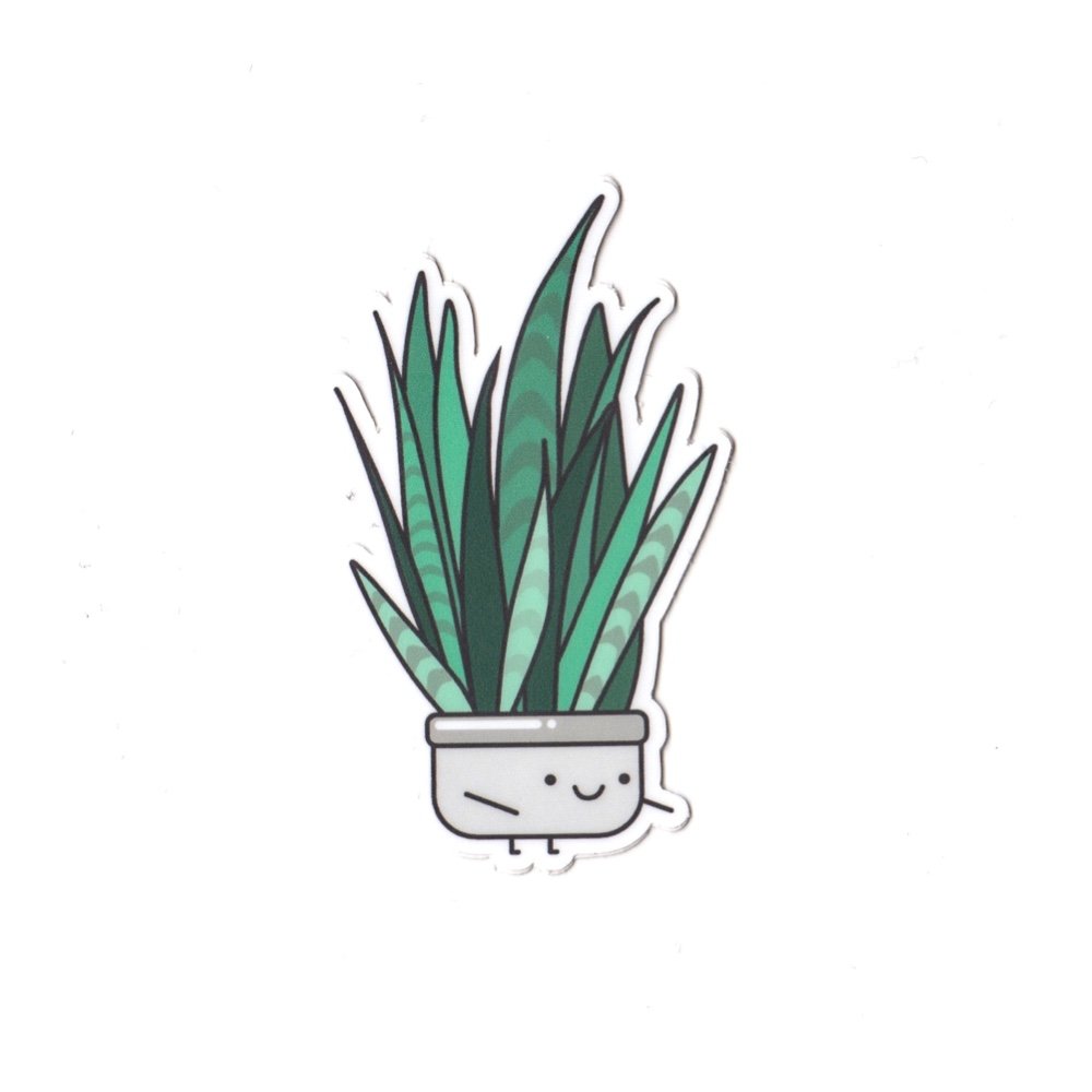 Sansevieria | Vinyl Die Cut Sticker