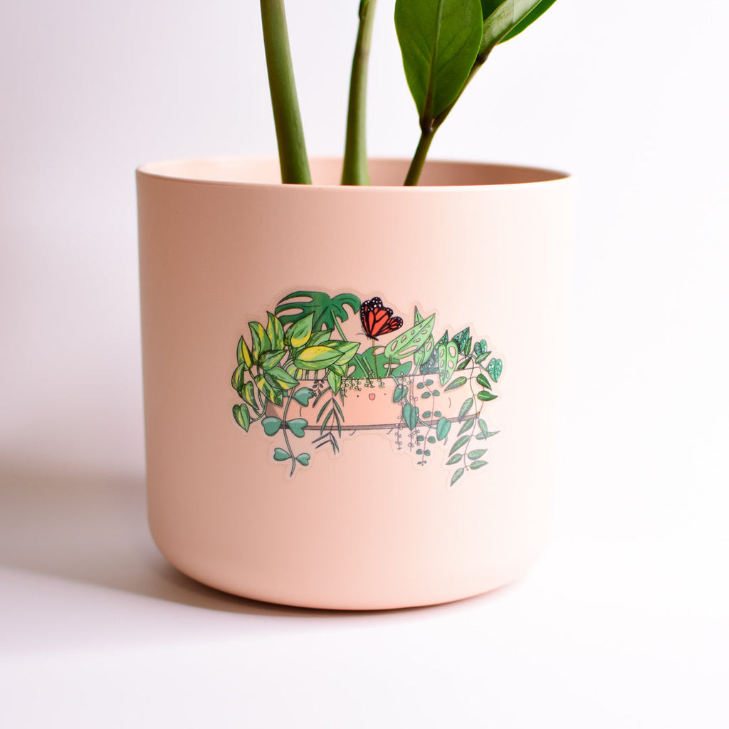 Trailing Planter | Clear Vinyl Sticker