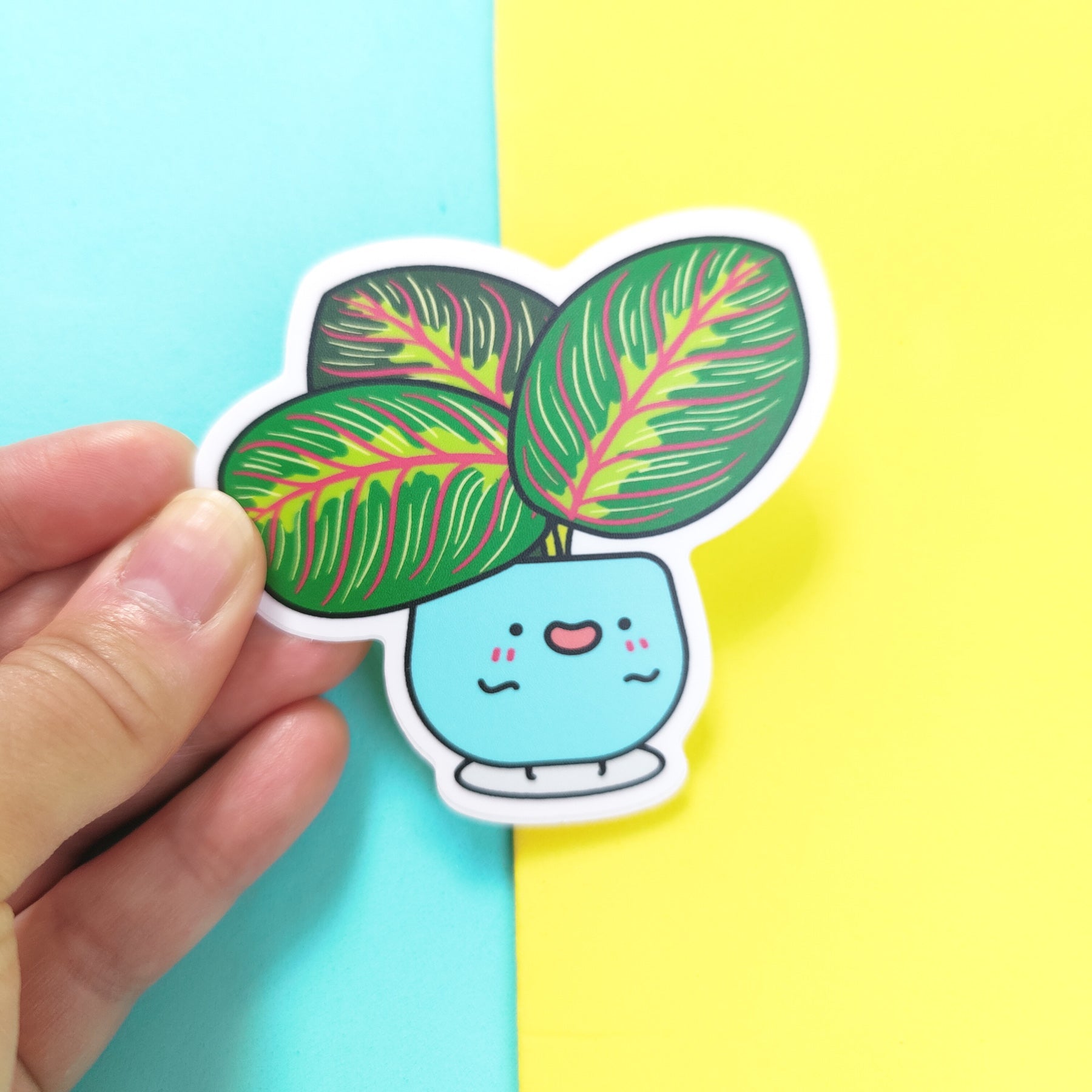 Prayer Plant | Vinyl Sticker