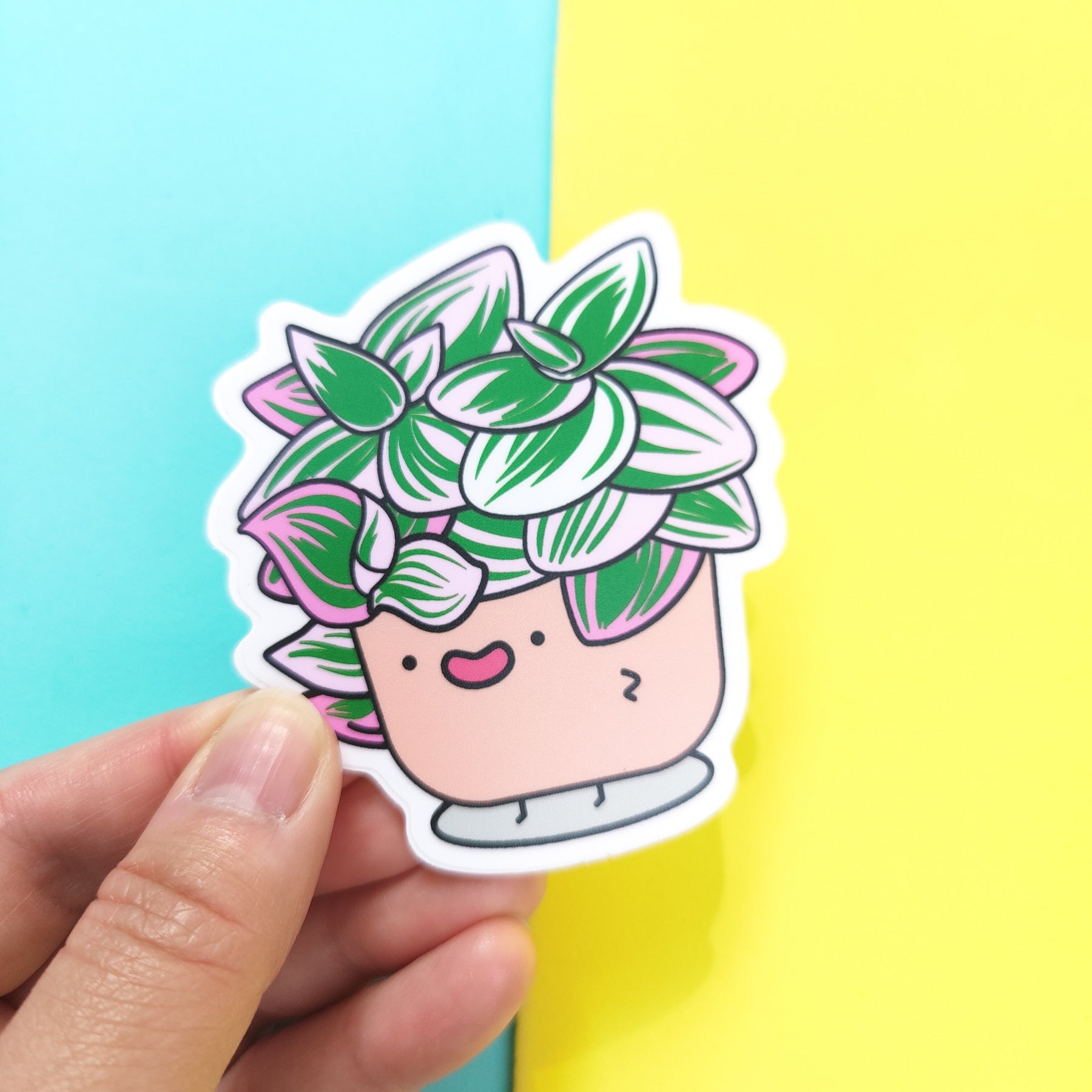 Tradescantia Nanouk | Vinyl Sticker