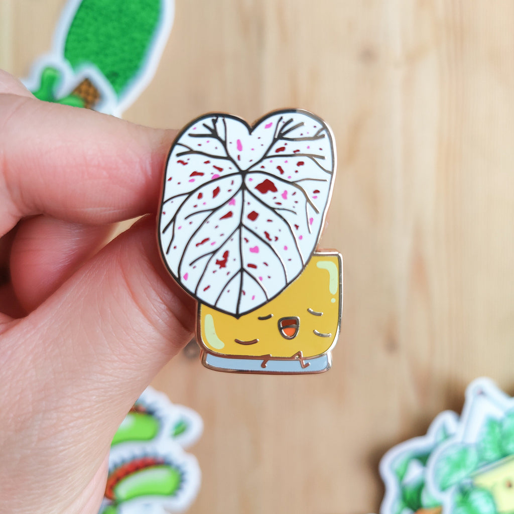 Caladium Cranberry Star | Enamel Pin