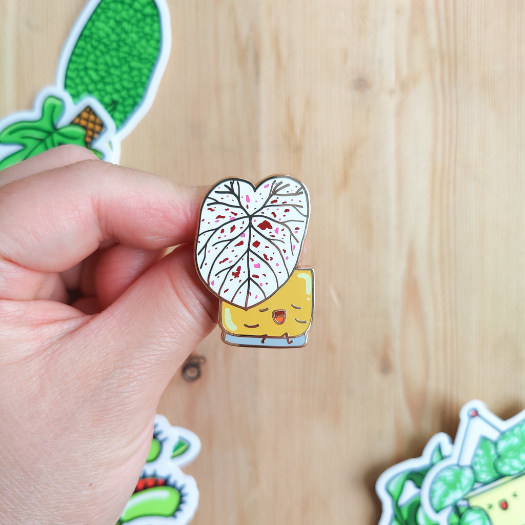 Caladium Cranberry Star | Enamel Pin