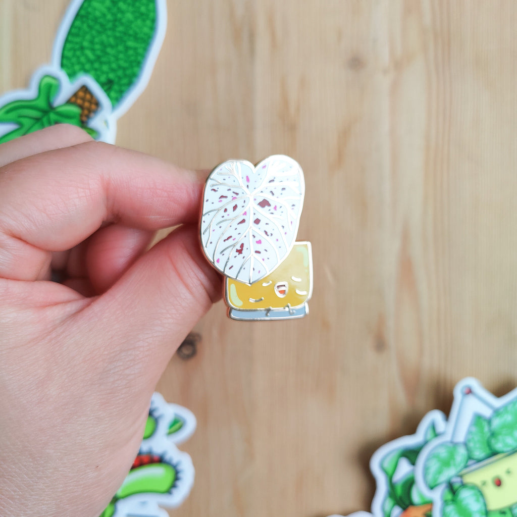 Caladium Cranberry Star | Enamel Pin