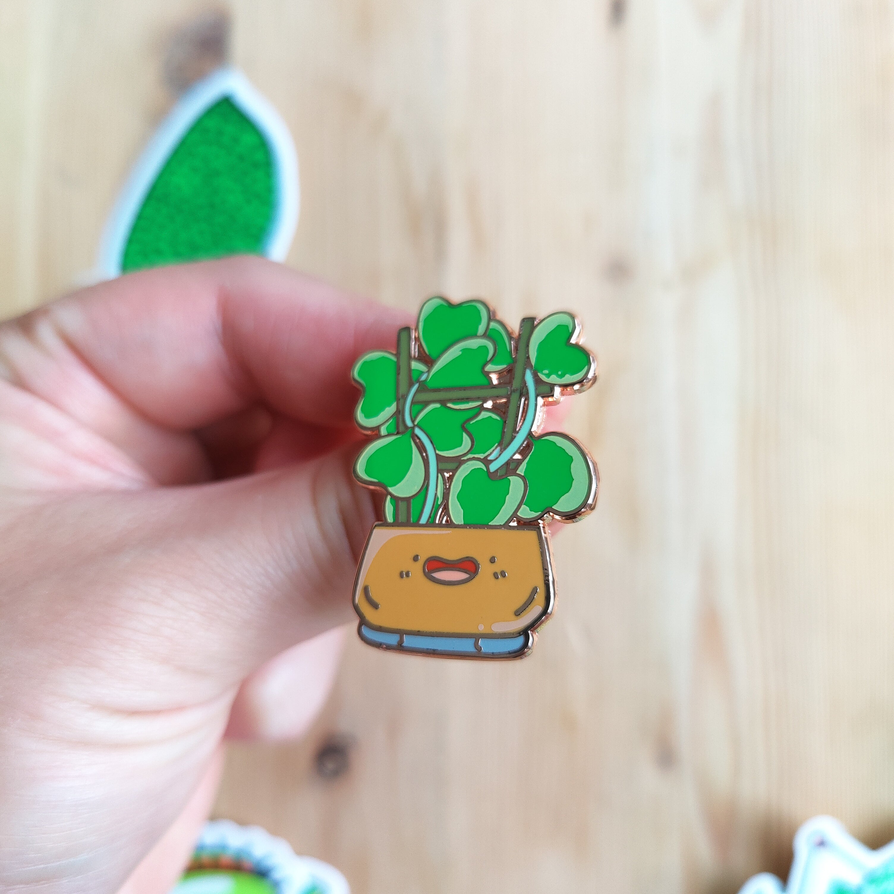 Variegated Hoya Kerrii | Enamel Pin