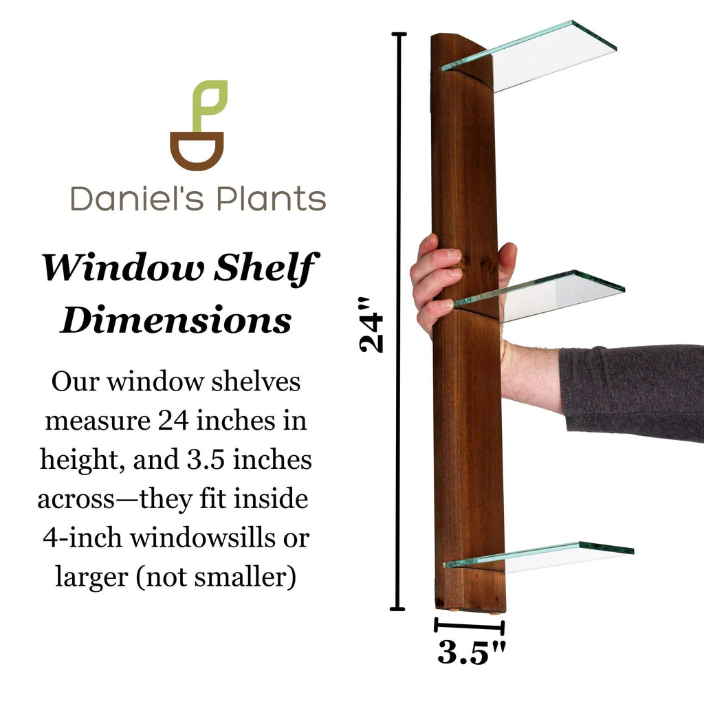 Renter-Friendly Window Shelf | Woodland Brown + Tempered Glass
