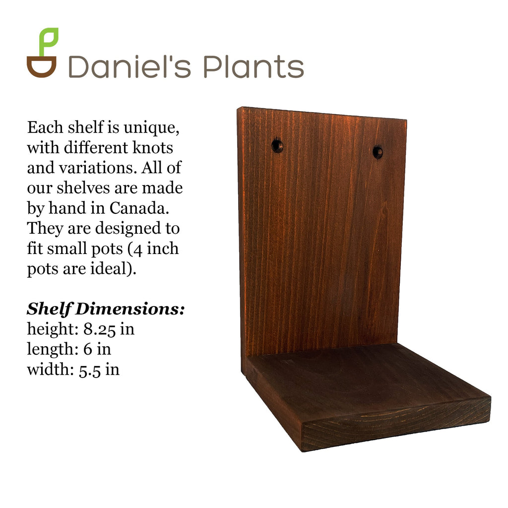 Wall Mounted Solid Wood Plant Shelf | Woodland Brown (Set of 3)