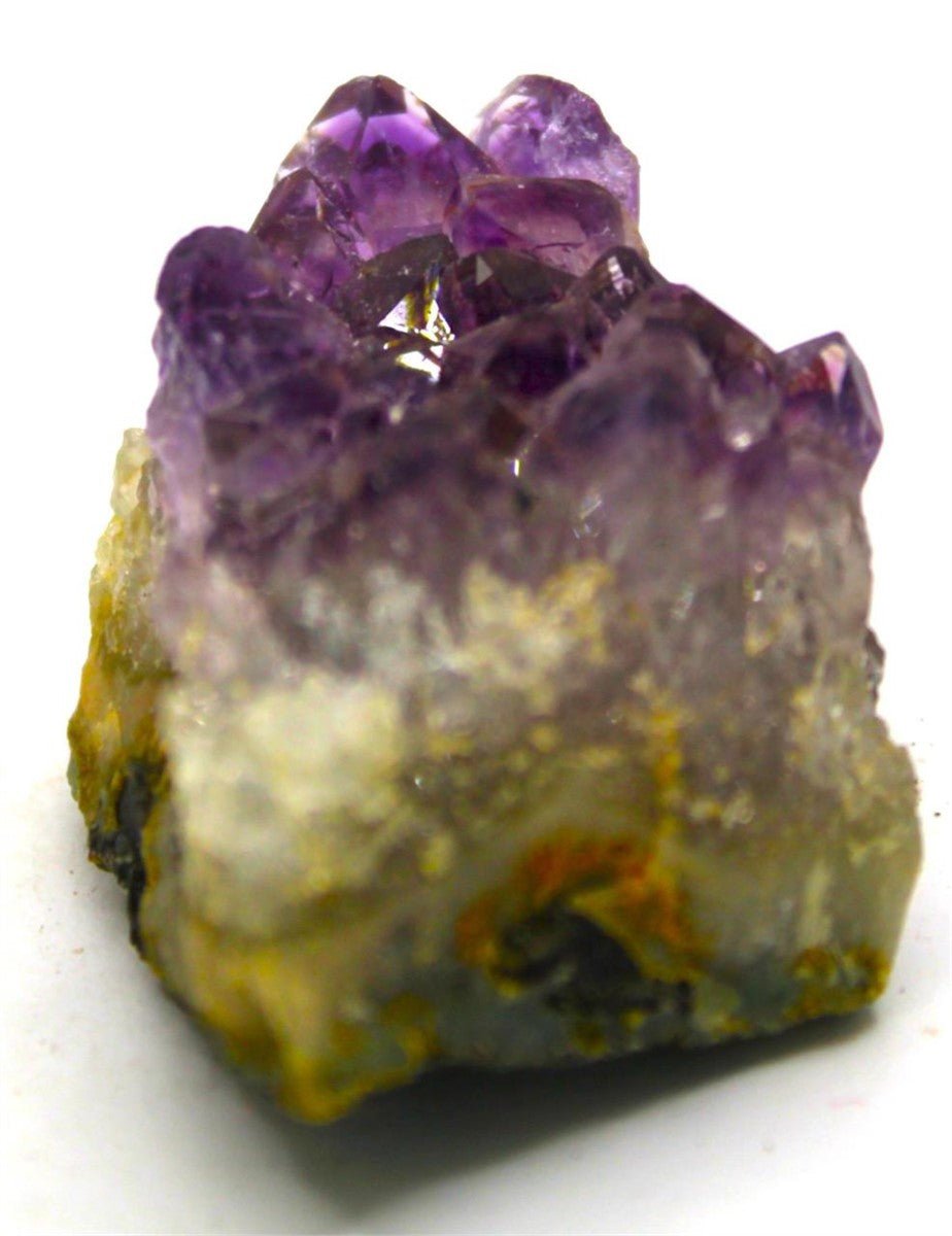 Amethyst Cluster | Brazil