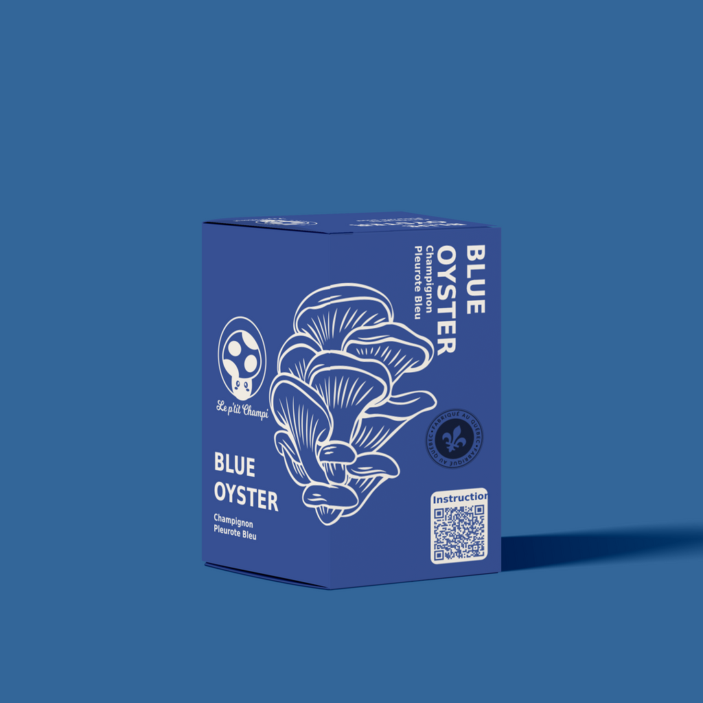 Blue Oyster | Mushroom Kit