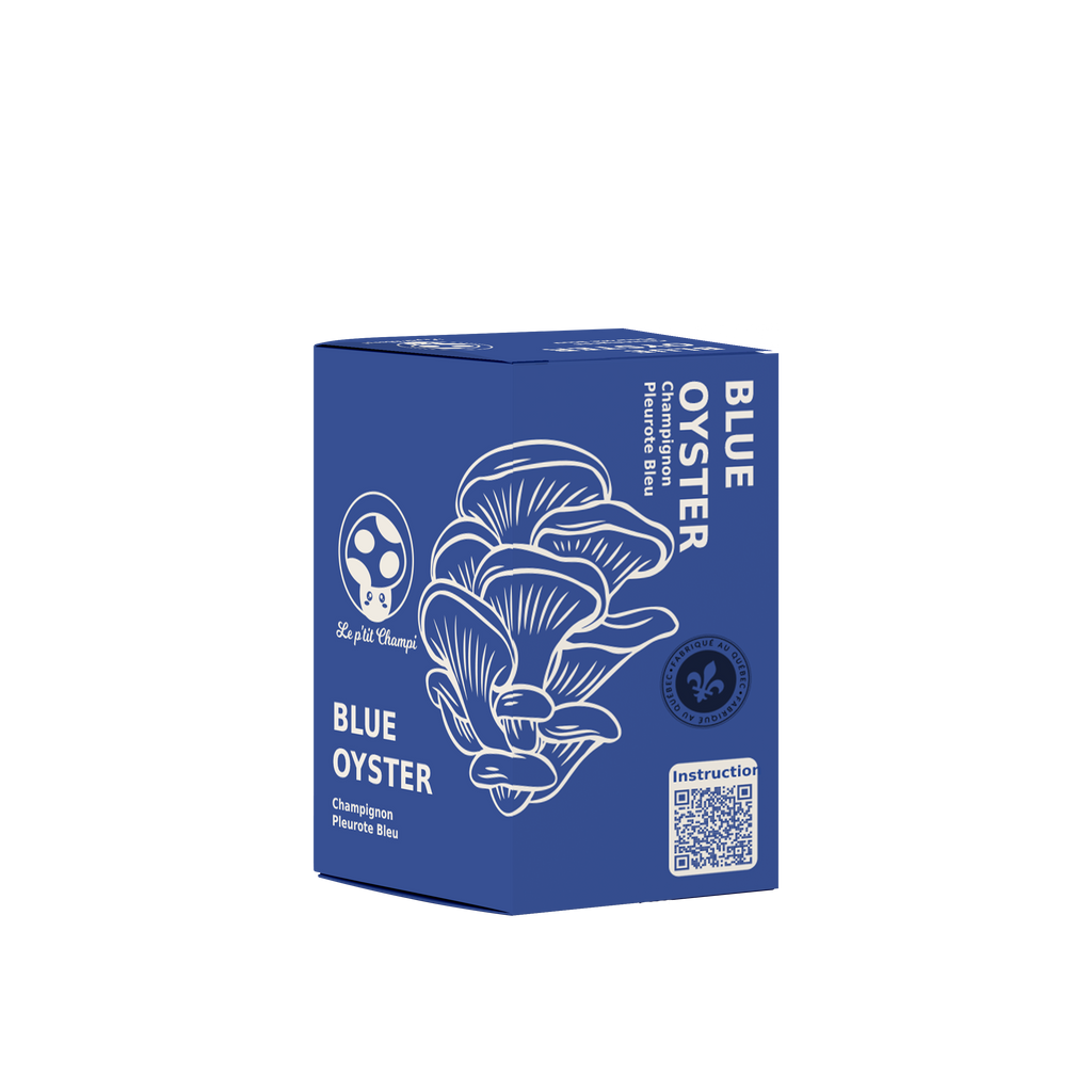 Blue Oyster | Mushroom Kit