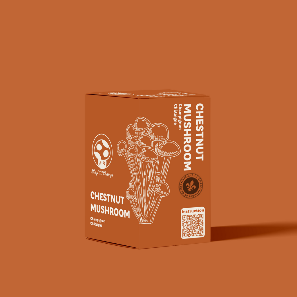 Chestnut | Mushroom Kit