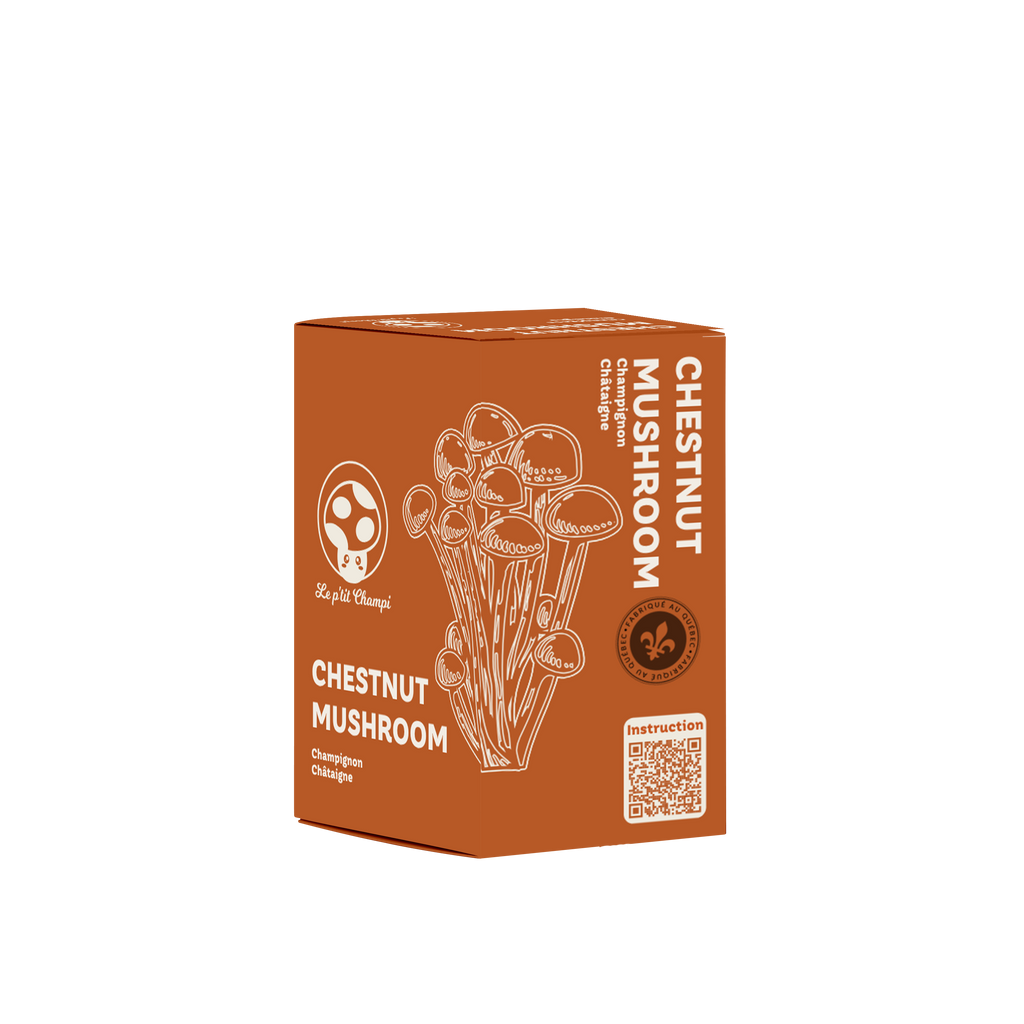 Chestnut | Mushroom Kit