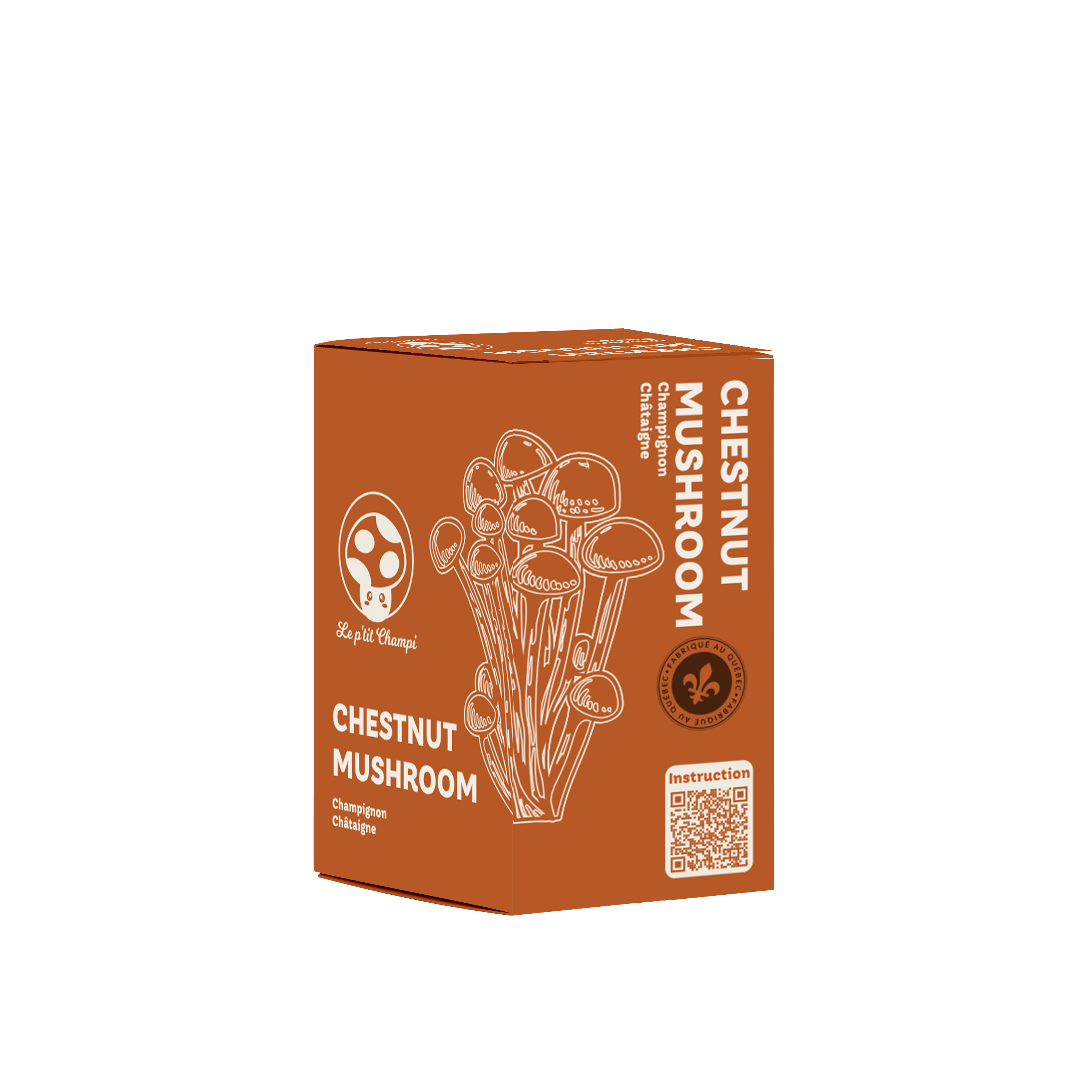 Chestnut | Mushroom Kit