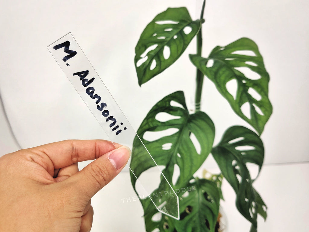 Plant Name Label | Super Clear and Durable Acrylic