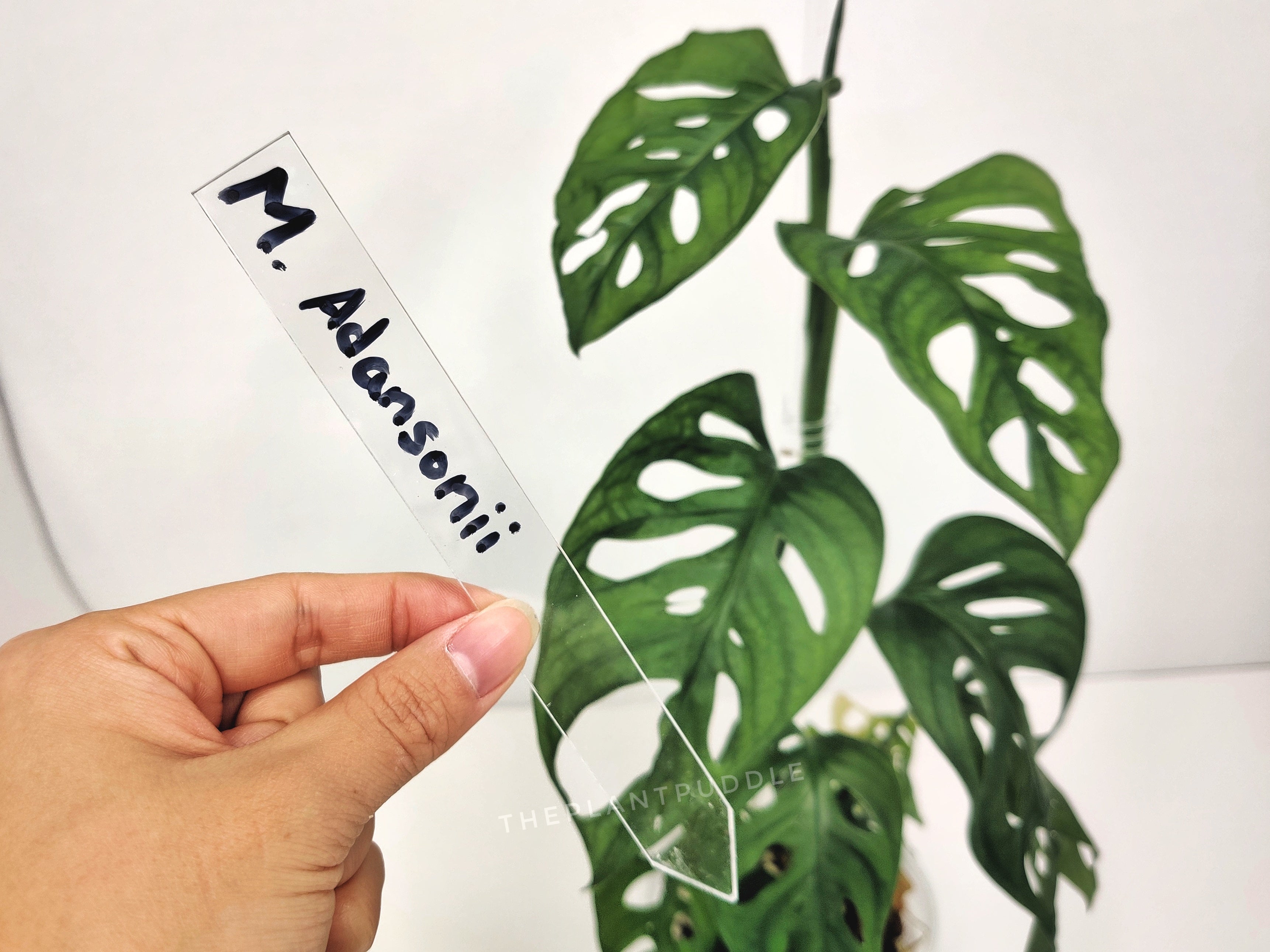 Plant Name Label | Super Clear and Durable Acrylic