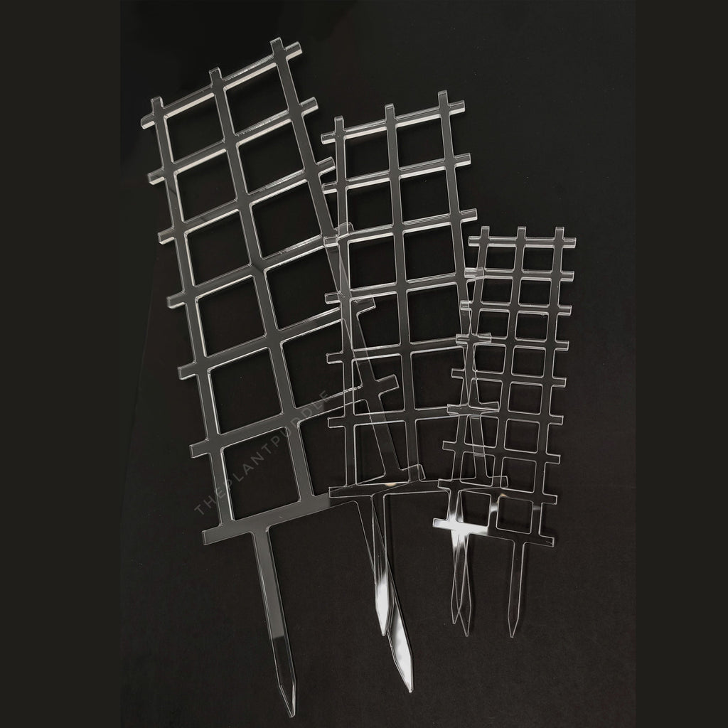 Fence Lattice Plant Trellis | Super Clear Acrylic