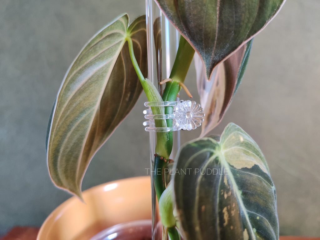 Clear Flower Clips | Blends Right In With Your Plants