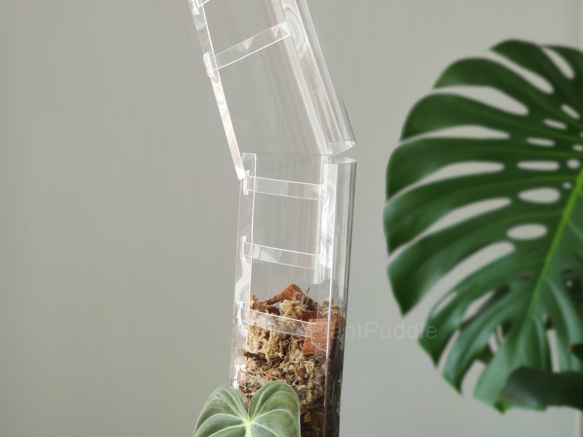 Front Opening Moss Pole | Clear Durable Plastic