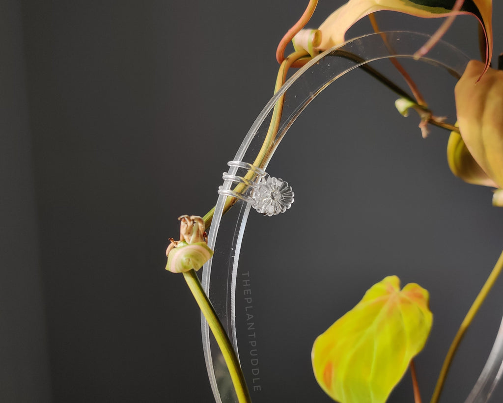 Clear Flower Clips | Blends Right In With Your Plants