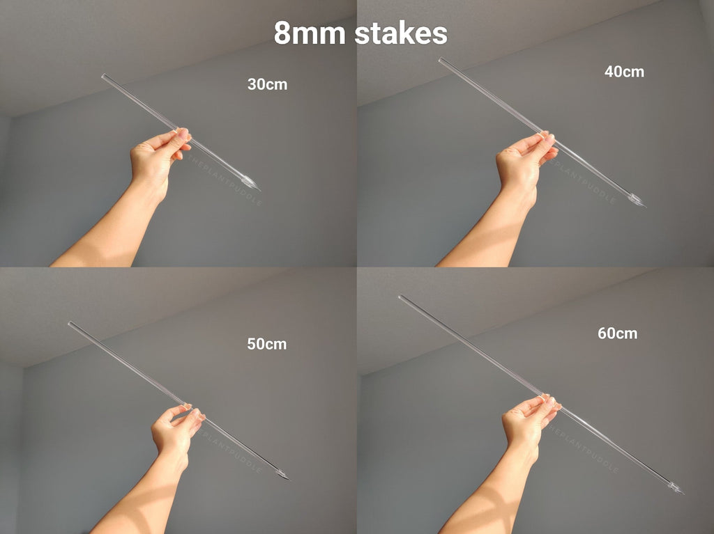 Straight Plant Stakes | 6mm and 8mm Clear Acrylic