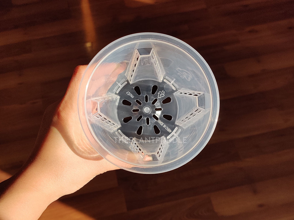 Tall Clear Plant Pot | High Drainage And Sturdy Design