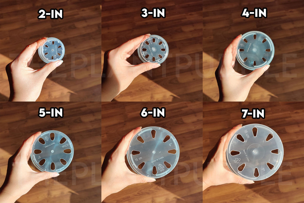 Round Clear Plant Pot | 10 Sizes with Drainage