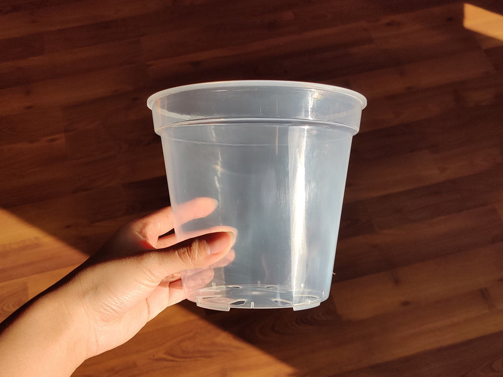 Round Clear Plant Pot | 10 Sizes with Drainage