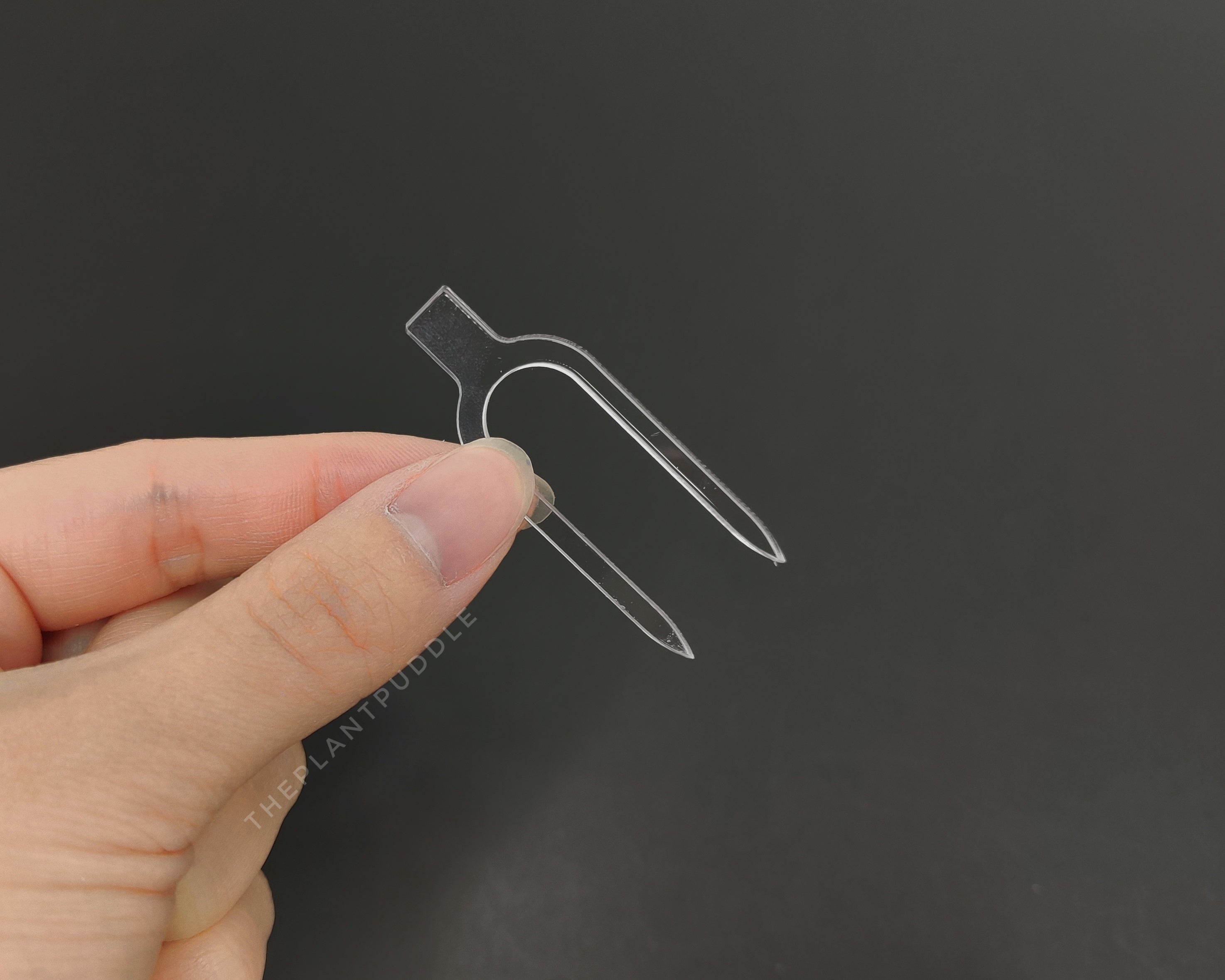 Acrylic Propagation Pins | Super Clear
