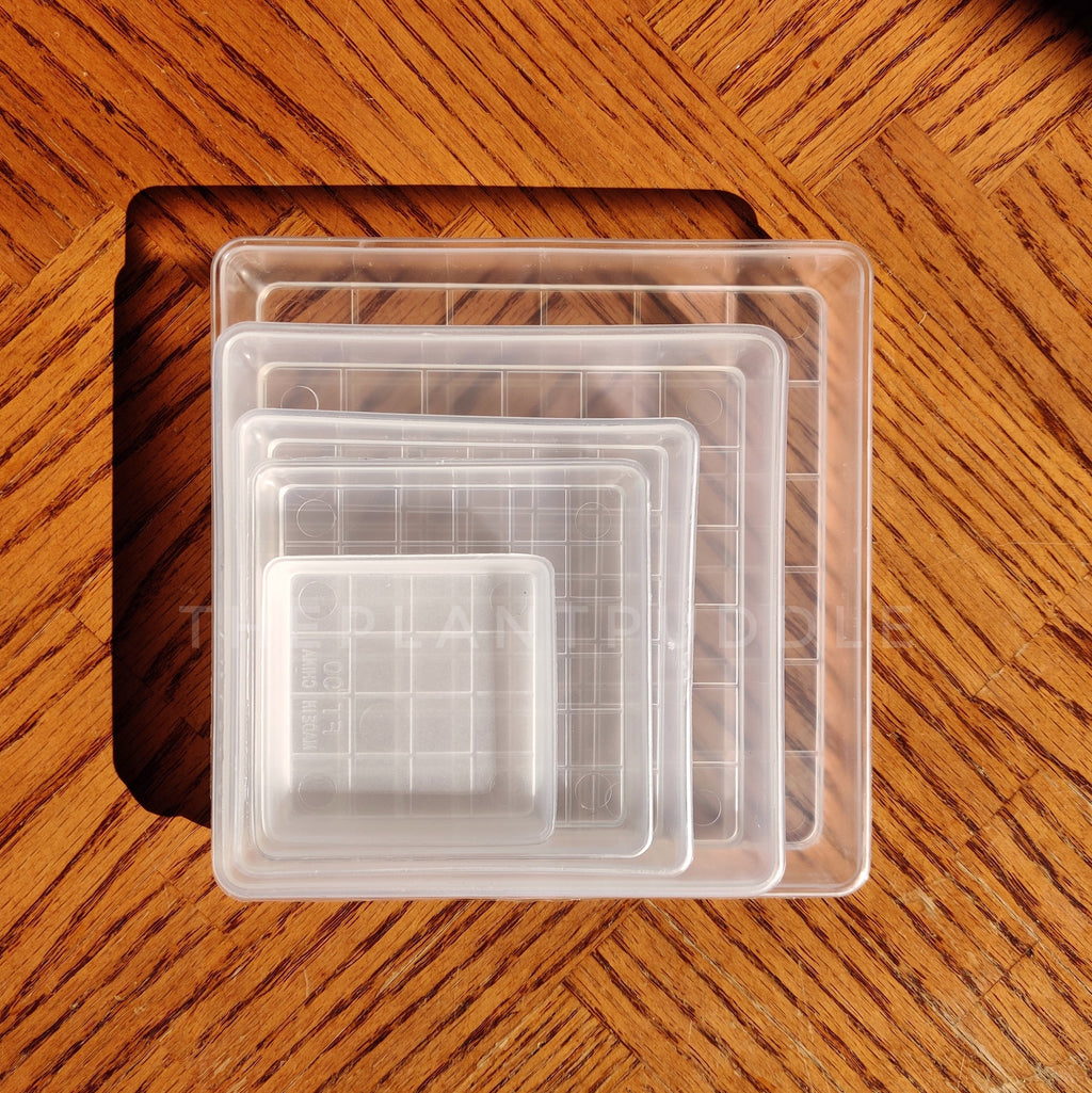 Square Plant Pot Saucers - Organize Your Plant Space