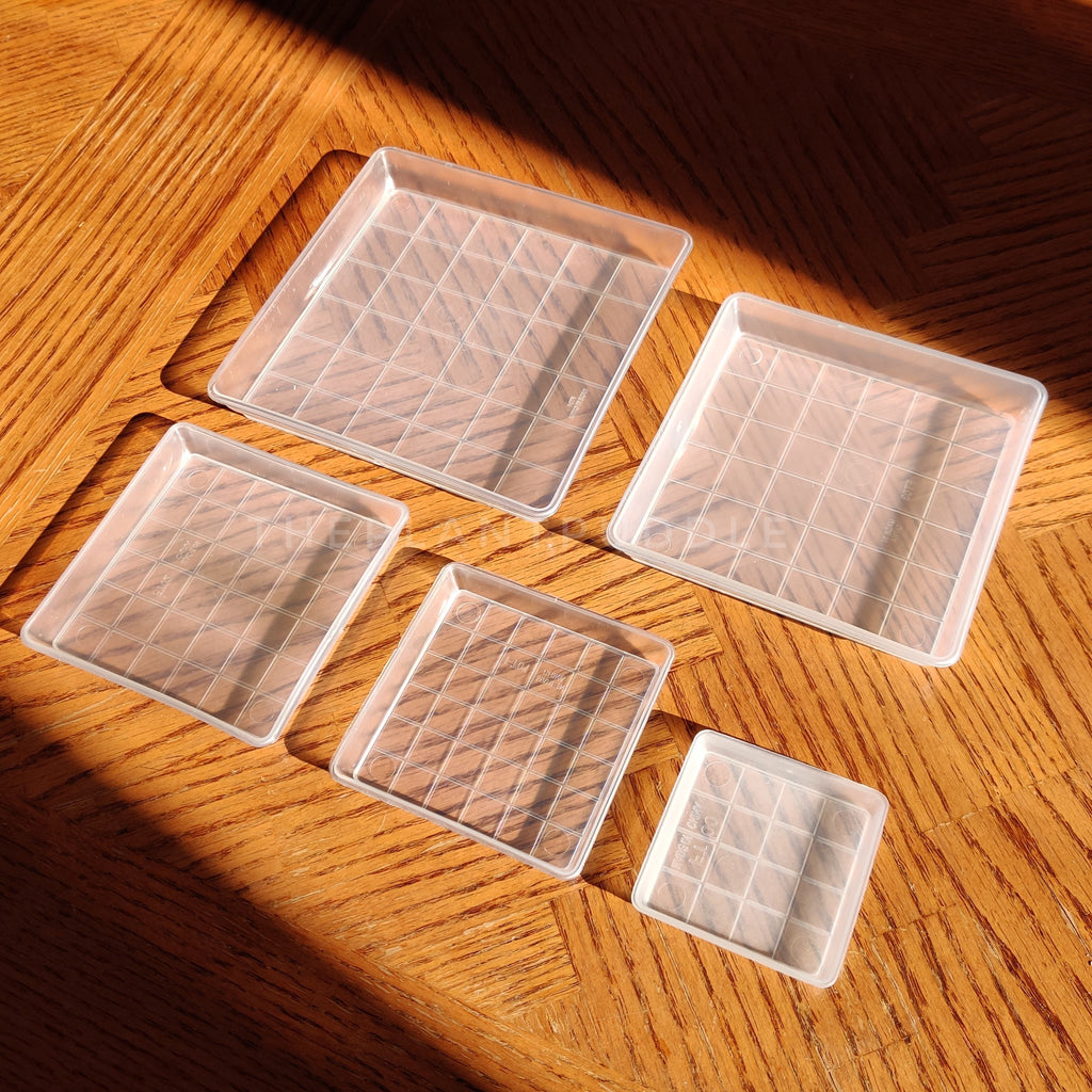 Square Plant Pot Saucers - Organize Your Plant Space