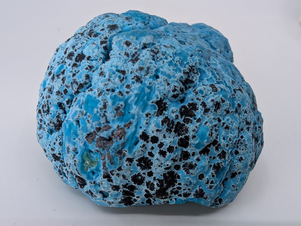 Congo Chrysocolla with Malachite – Botryoidal Specimen with Natural Ba ...