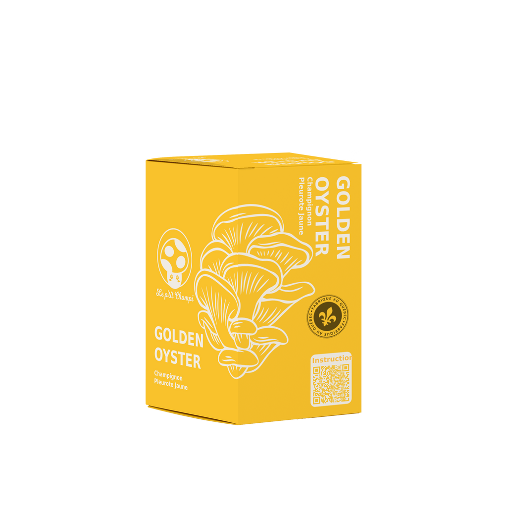 Golden Oyster | Mushroom Kit