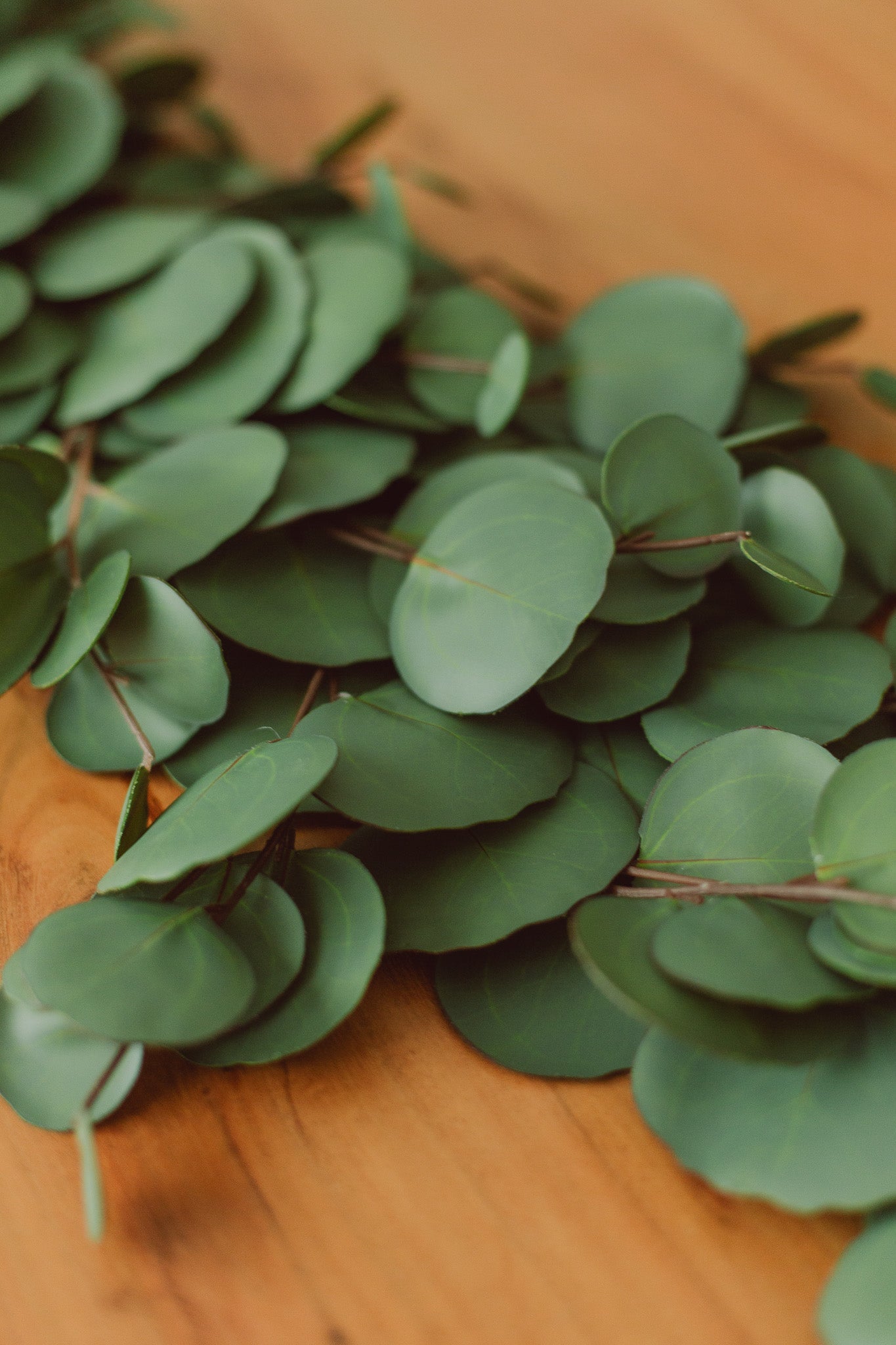 Artificial Eucalyptus | Garland