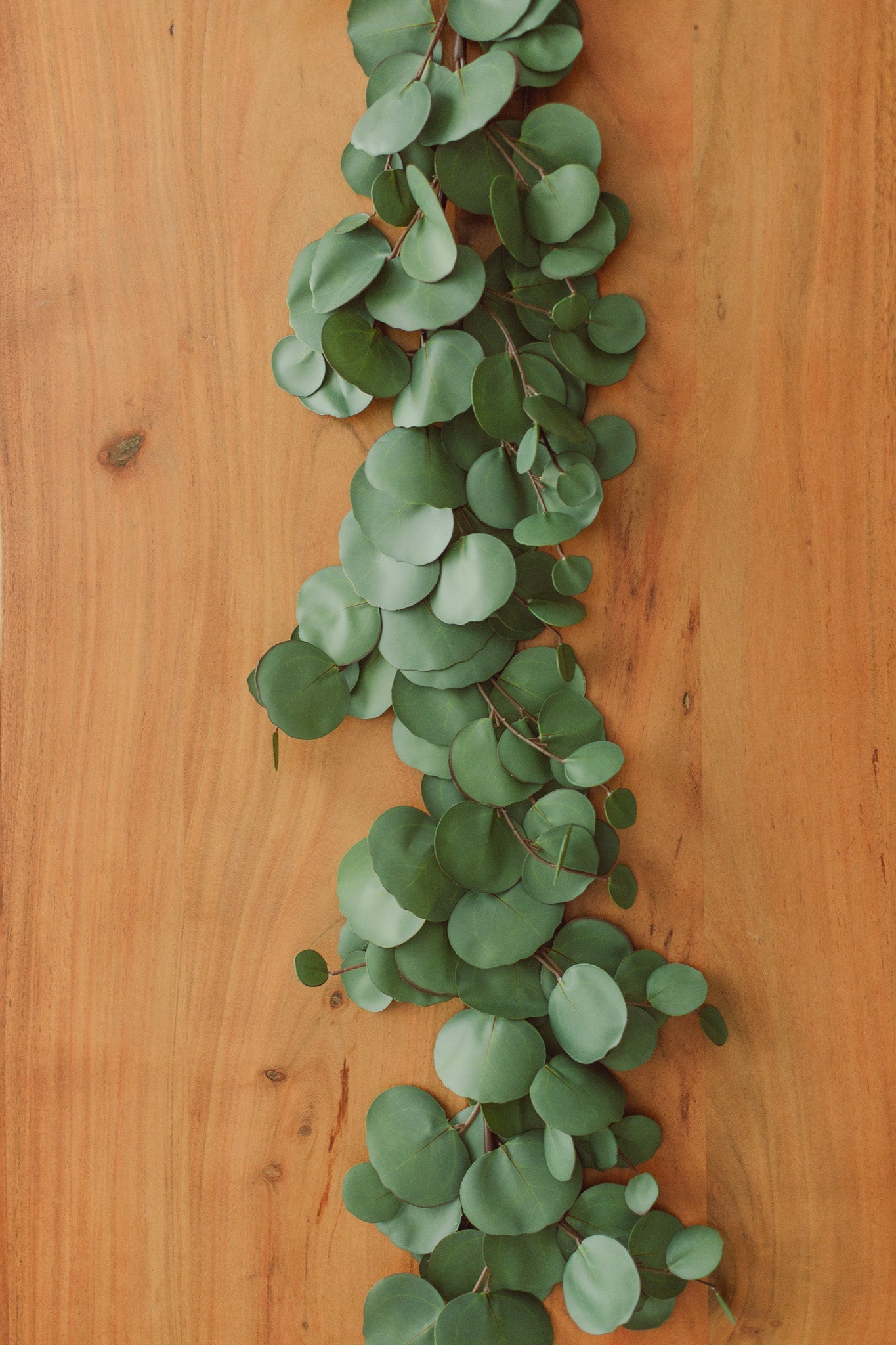 Artificial Eucalyptus | Garland