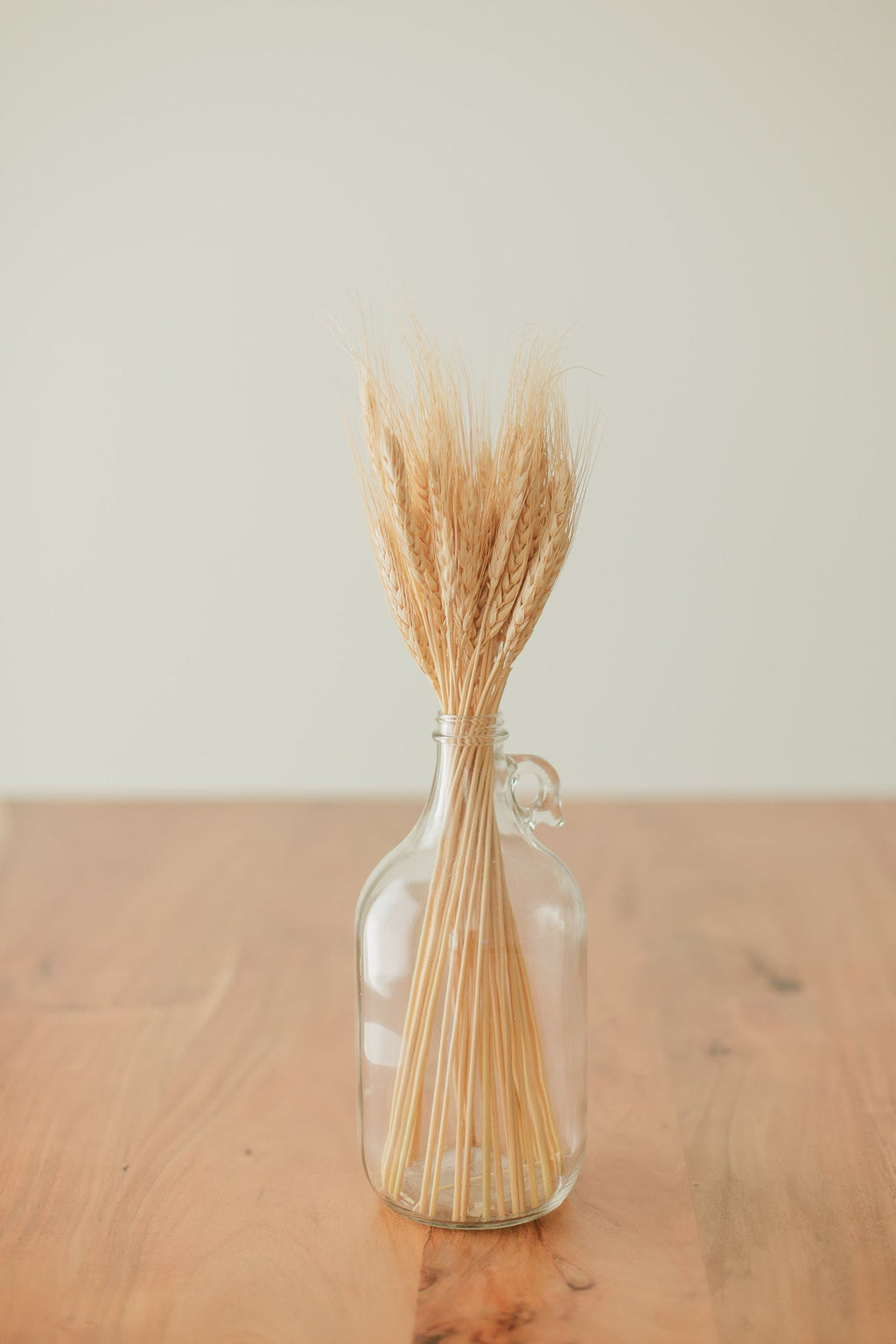 Wheat Bundle | Preserved