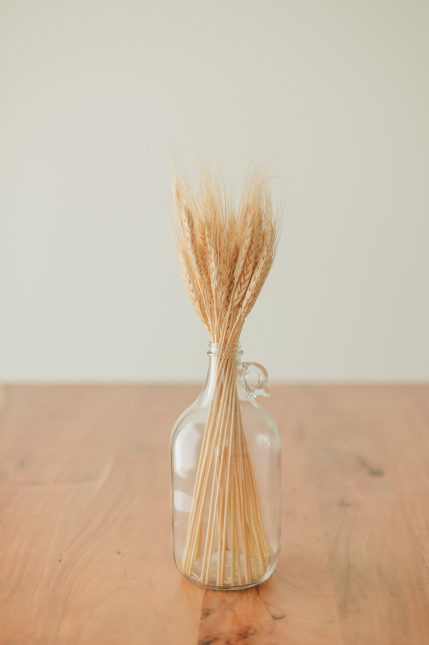 Wheat Bundle | Preserved