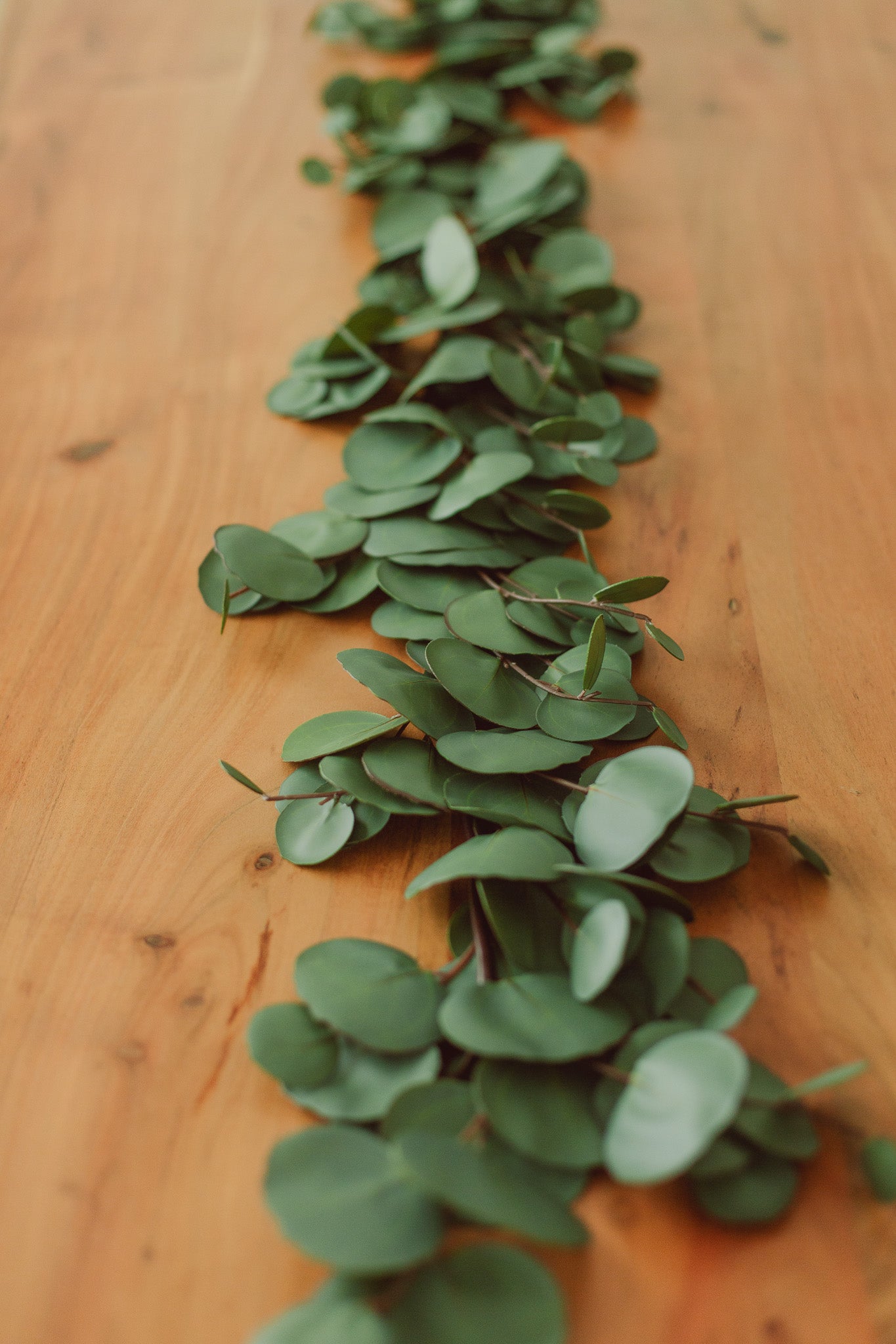 Artificial Eucalyptus | Garland