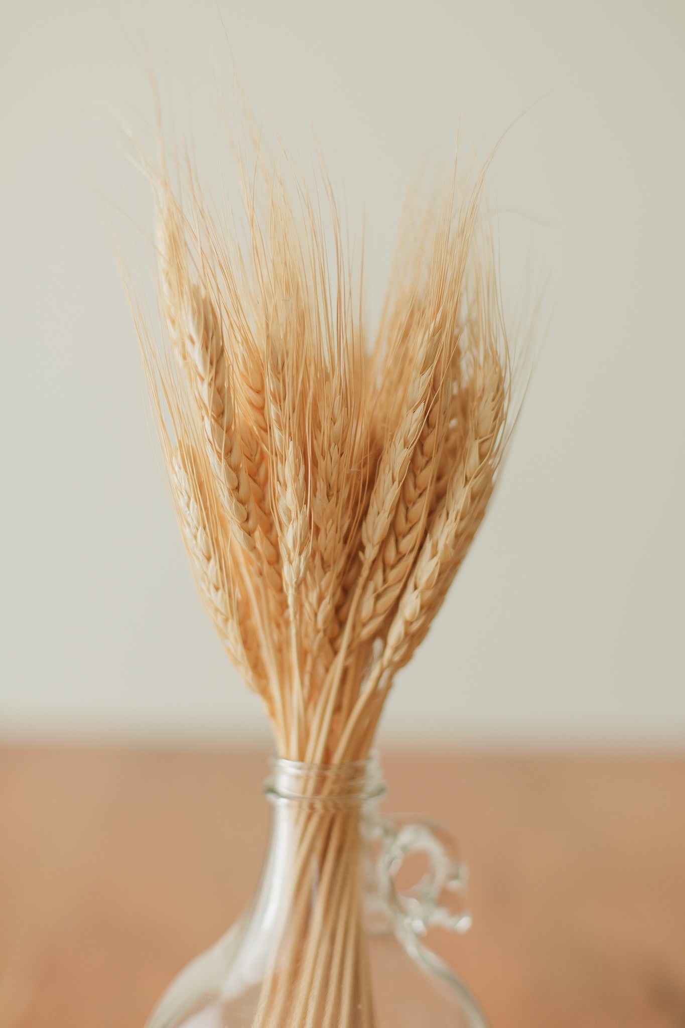 Wheat Bundle | Preserved